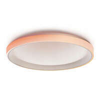 Intelligente Beleuchtung Aqara Ceiling Light T1M | CL-L02D